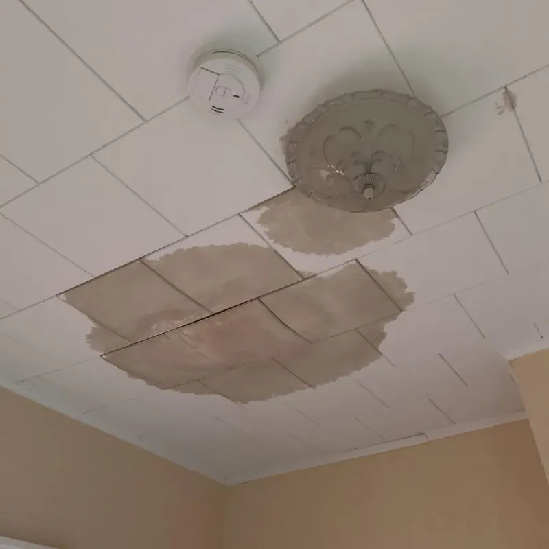 Ceiling Water Damage Repair in Montgomery County, KS