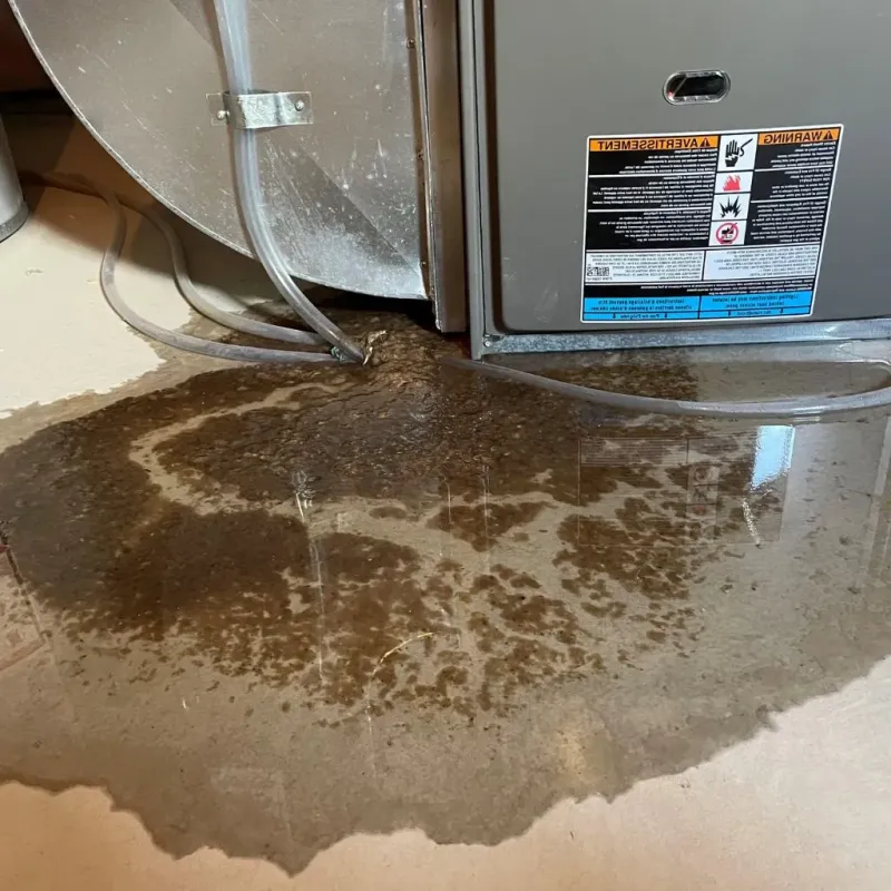 Pipe Burst and Leak Restoration in Montgomery County, KS