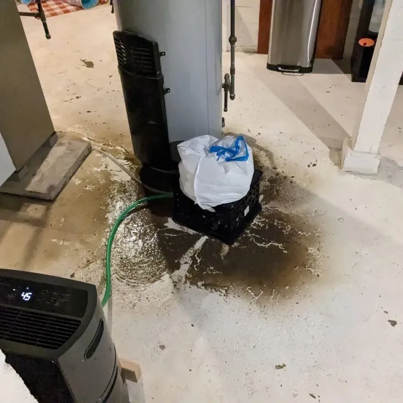 Sewage Backup Cleanup Service in Montgomery County, KS